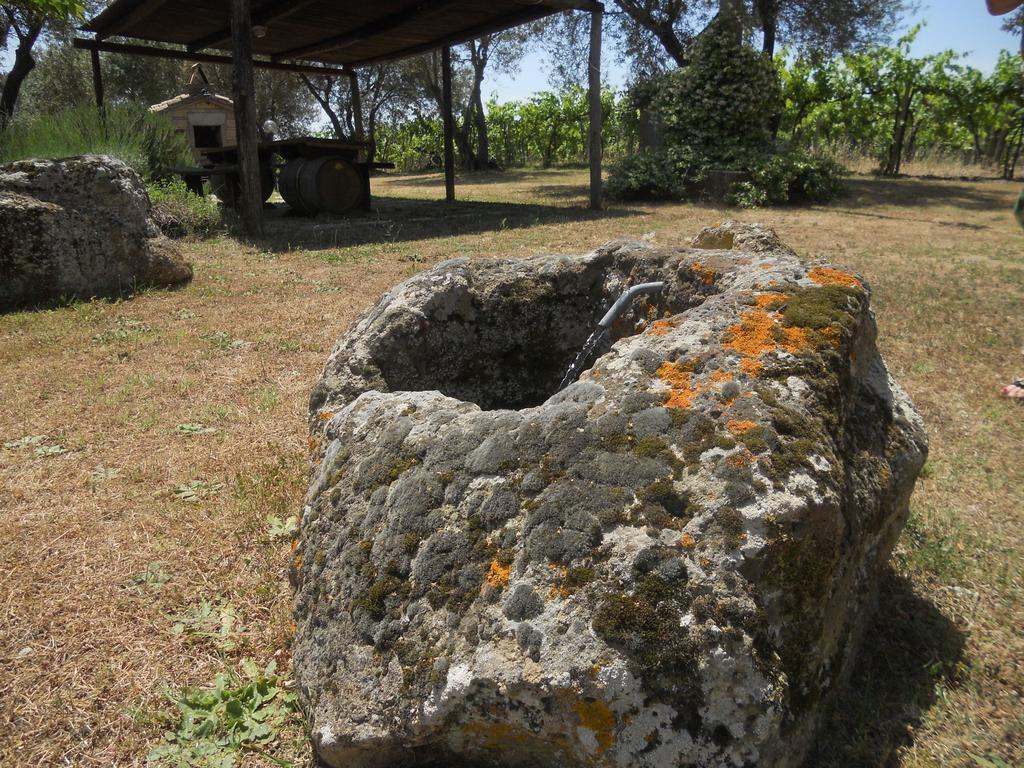 Agriturismo Tenuta Roccaccia Pitigliano Esterno foto
